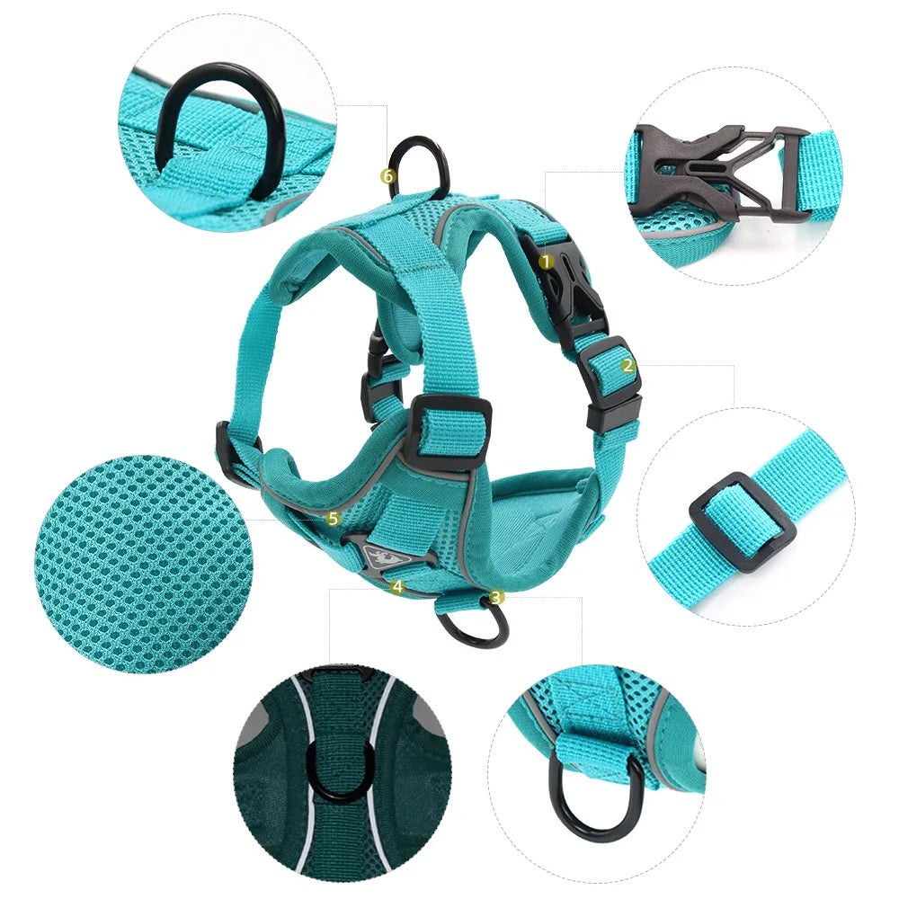 harnais laisse pour chien de moyen taille