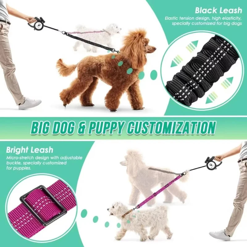 double laisse pour chien