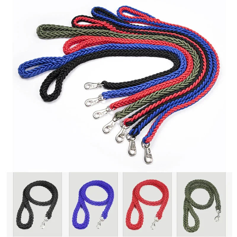 laisse pour grand chien