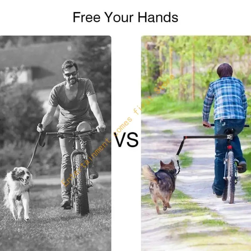 laisse chien velo