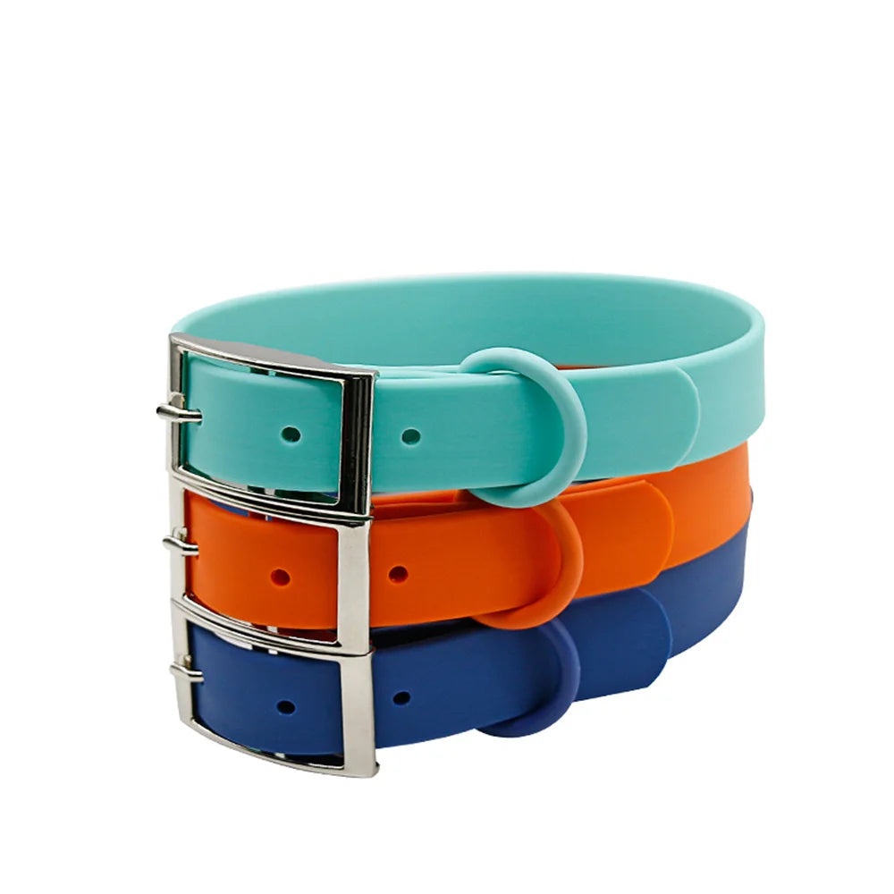 collier et laisse bleu brillante pour chien