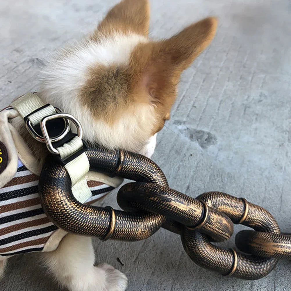 laisse fantaisie pour chien