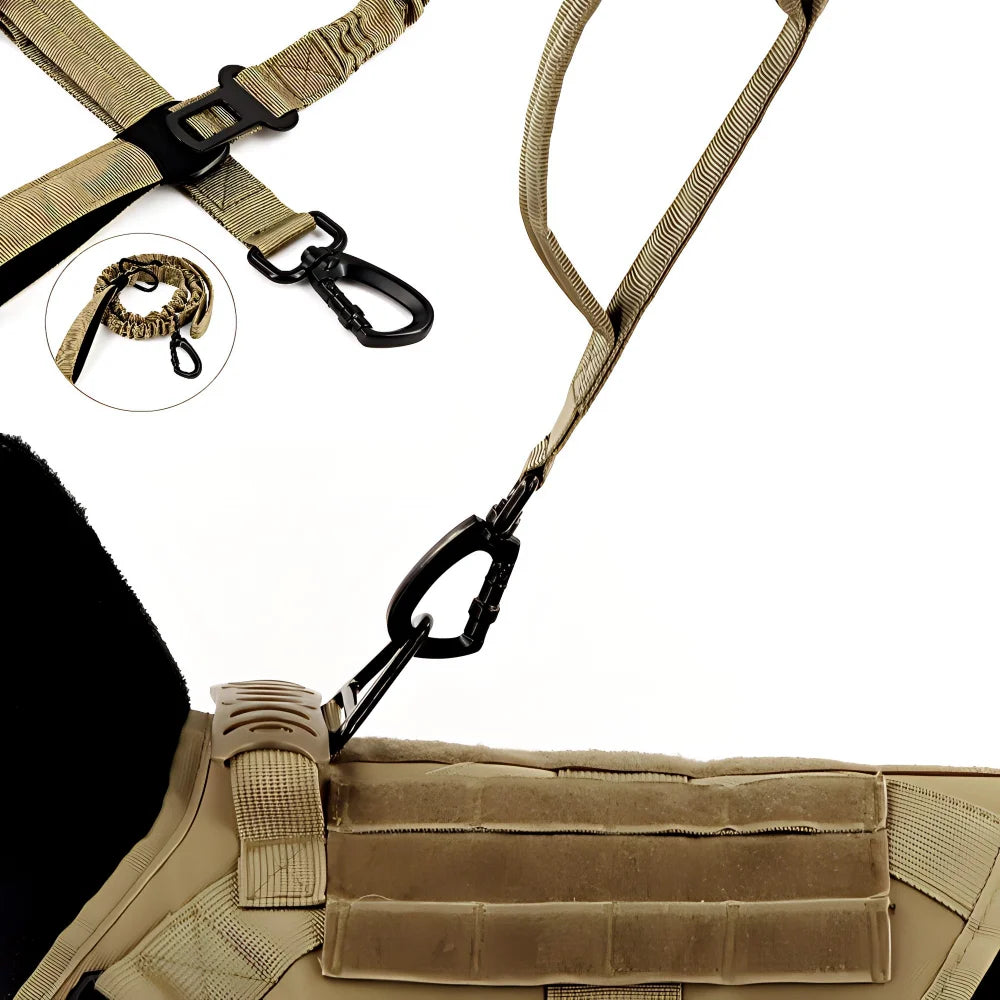 laisse camouflage chien de chasse