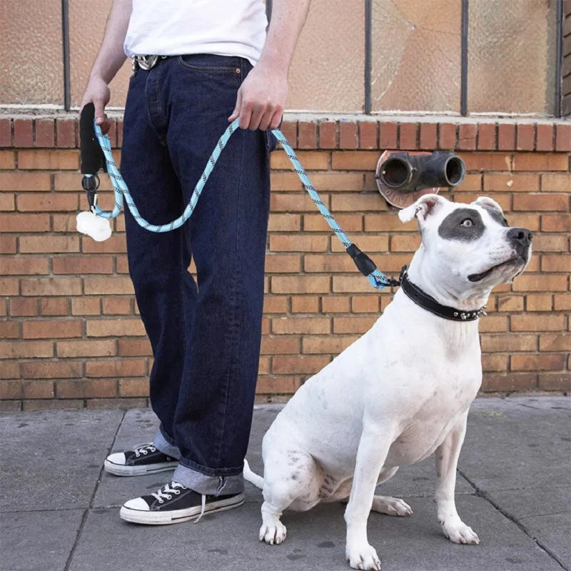 laisse avec poigner pour chien