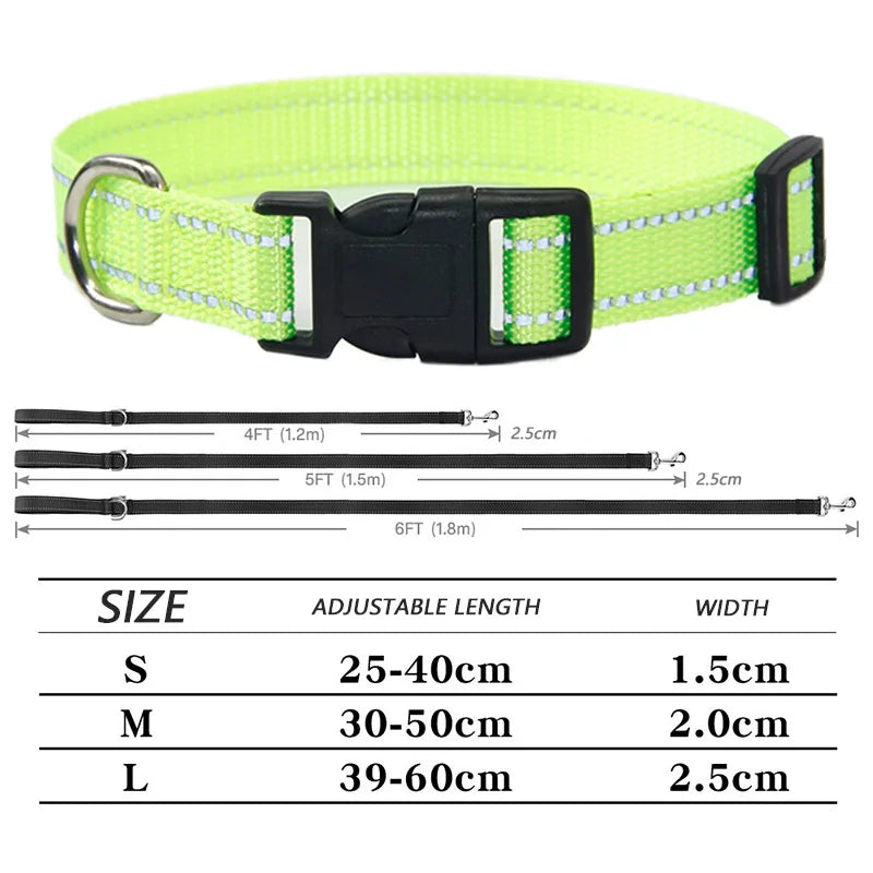 collier et laisse assorti pour chien