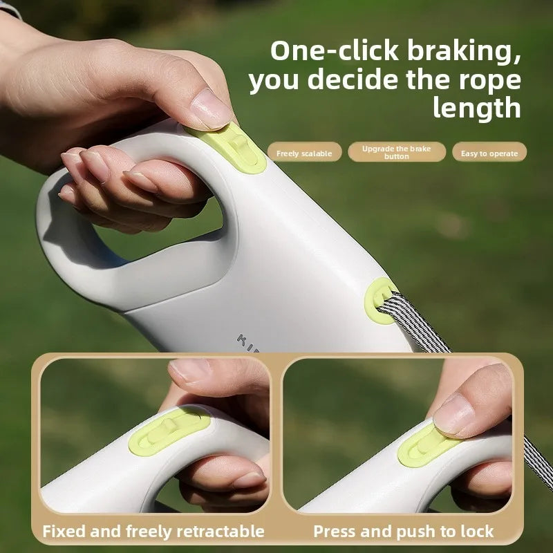 laisse retractable pour chien