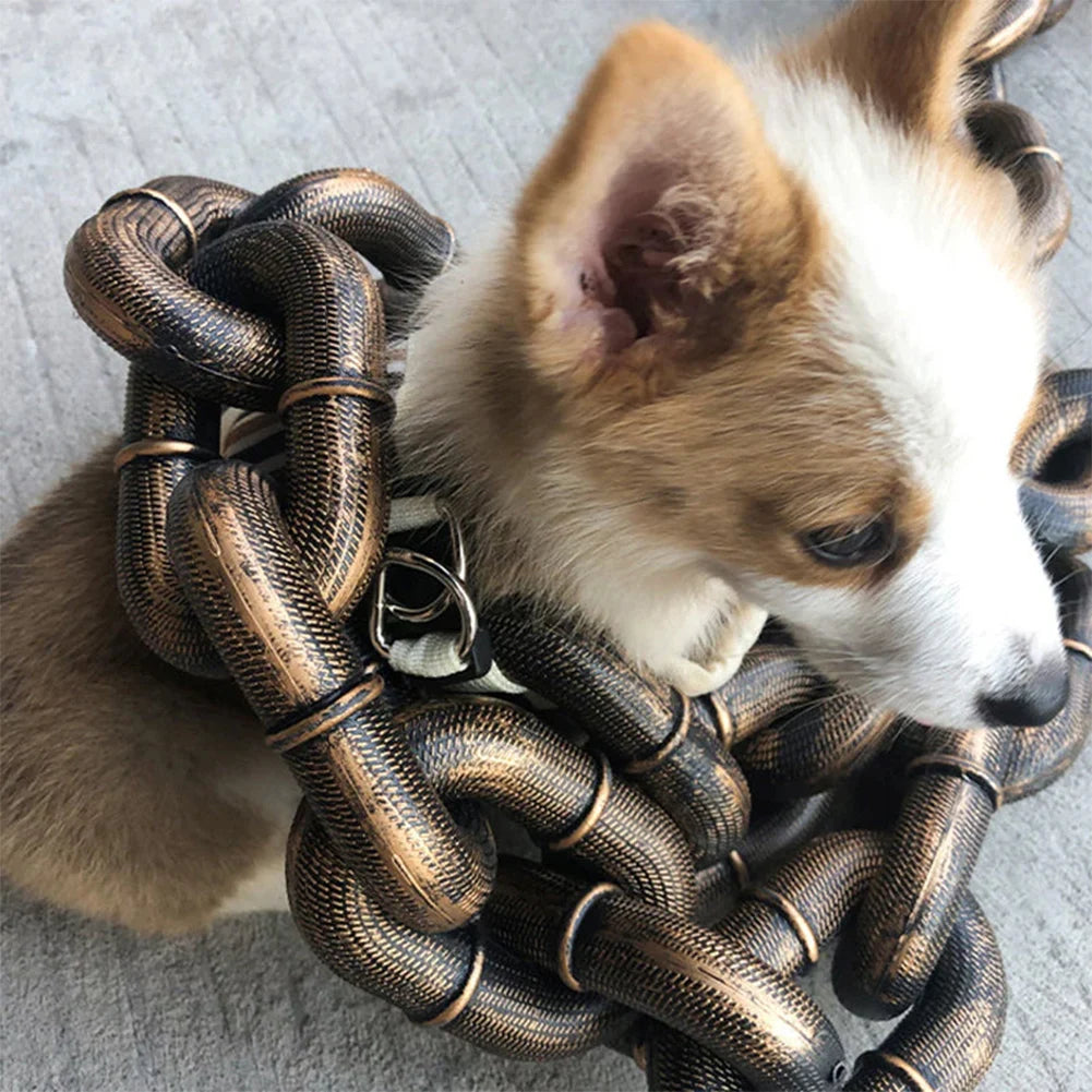 laisse fantaisie pour chien