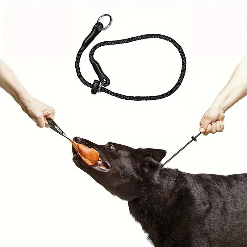 laisse collier étrangleur