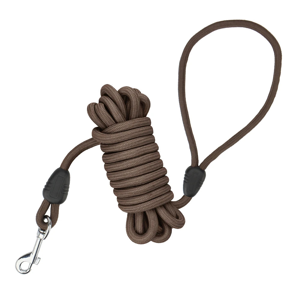 laisse pour chien 10 m