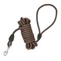laisse pour chien 10 m