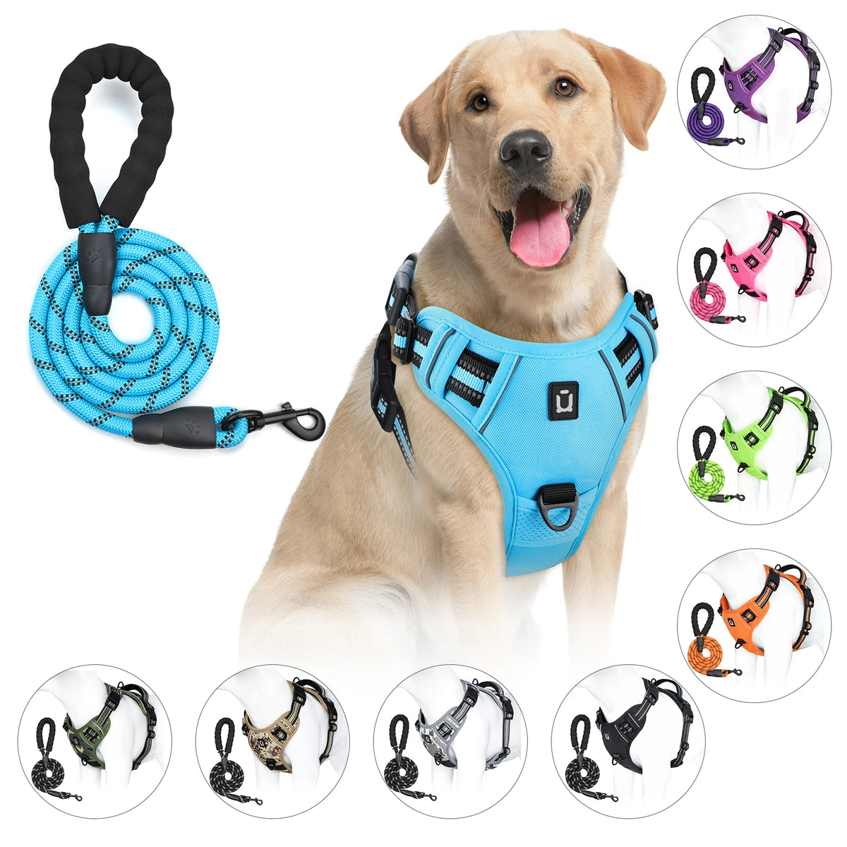 harnais laisse pour chien bleu
