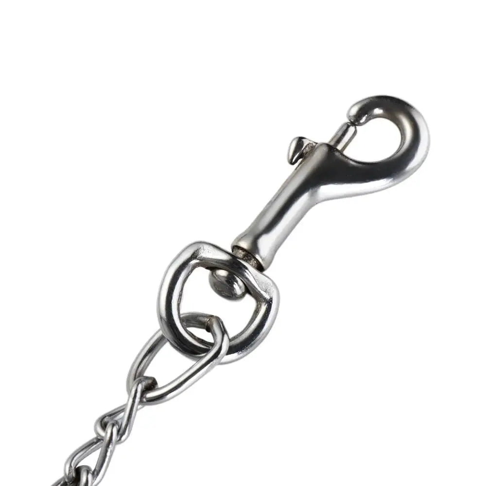 laisse chaine fine pour chien