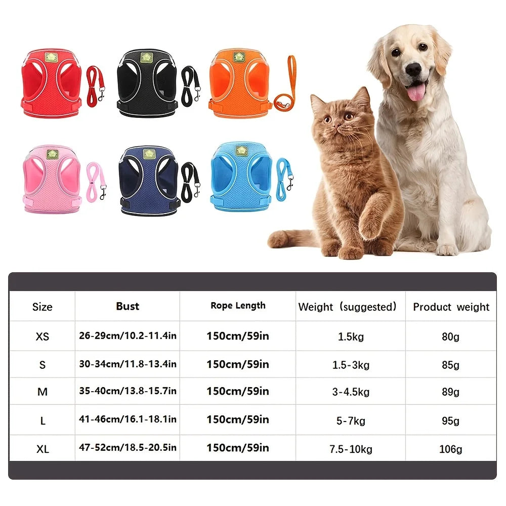 harnais laisse kit assorti pour petit chien