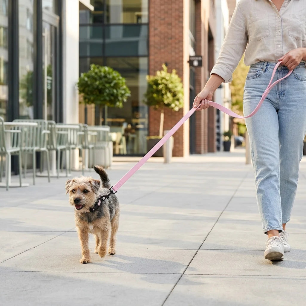 laisse pour chien rose