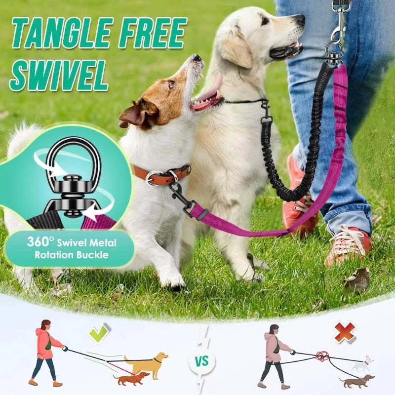 double laisse pour chien