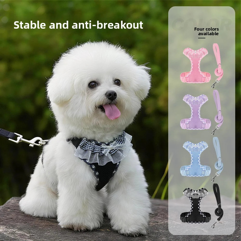 harnais laisse pour chien