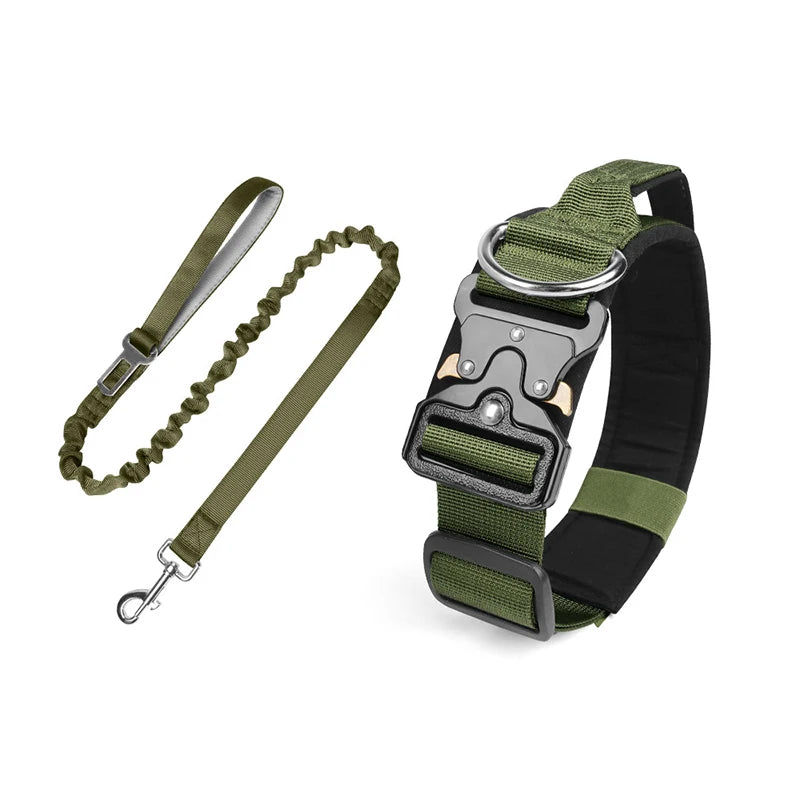 collier et laisse d'intervention pour chien berger allemand