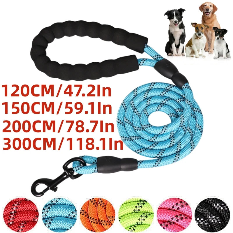 laisse avec poigner pour chien