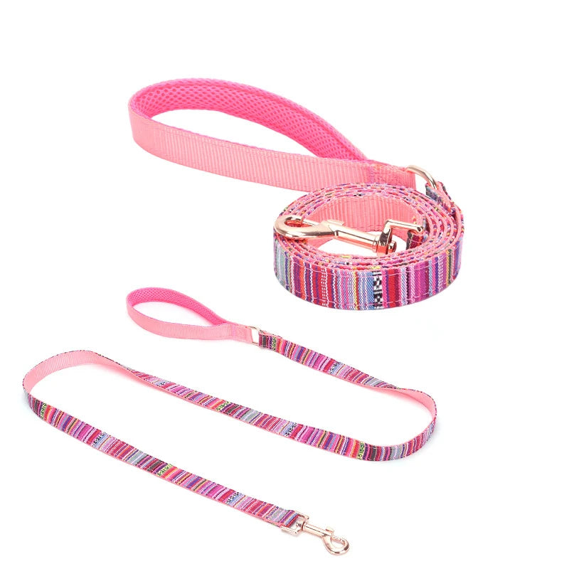 laisse crochet pour petit chien