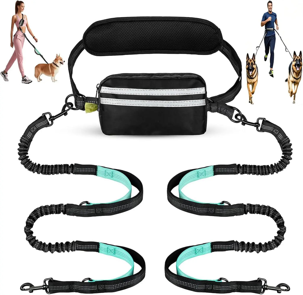 double laisse pour chien ventrale avec rangement