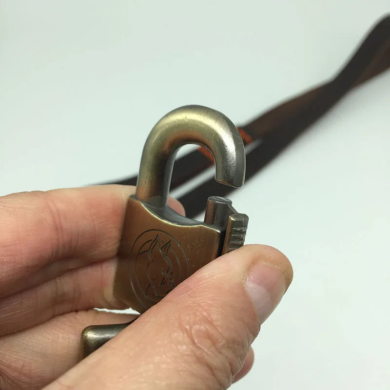 laisse en cuir pour gros chien