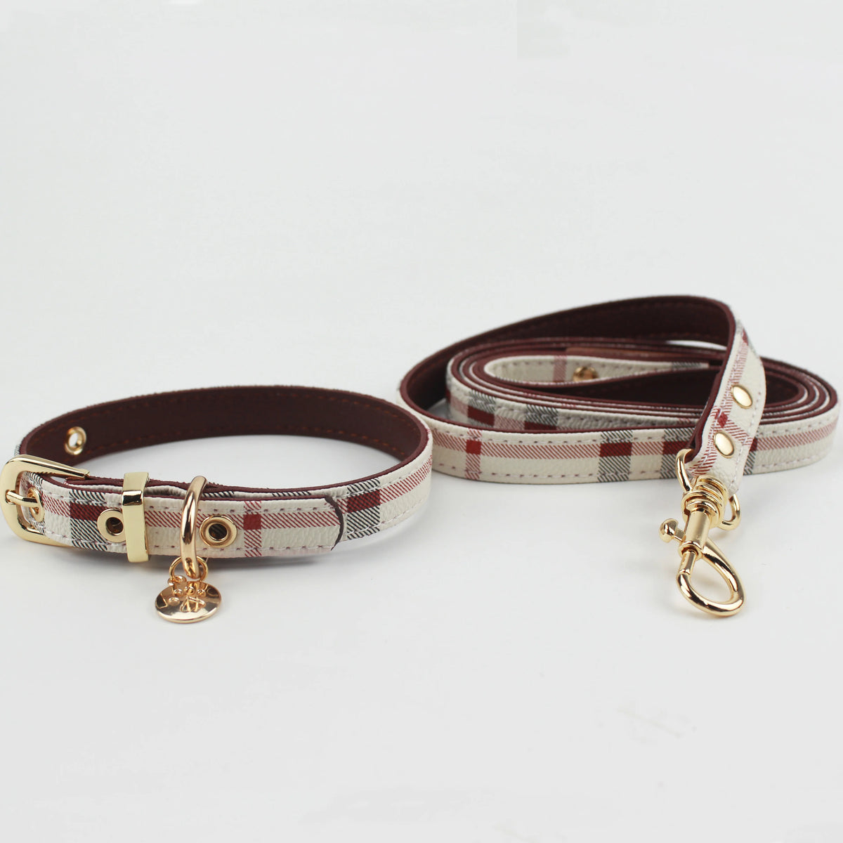 collier et laisse pour chien chic