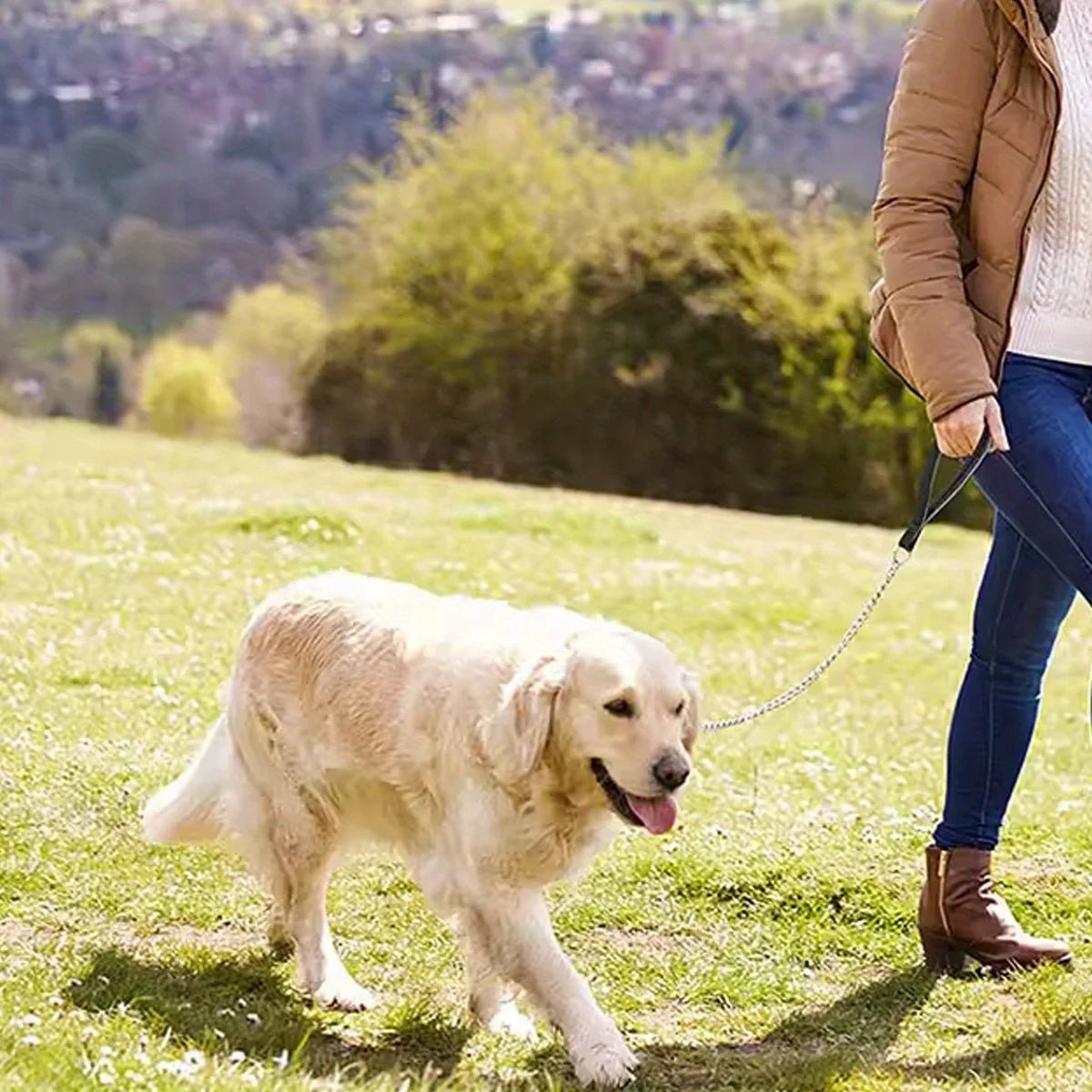 laisse chaine 1 mettre 20 pour chien