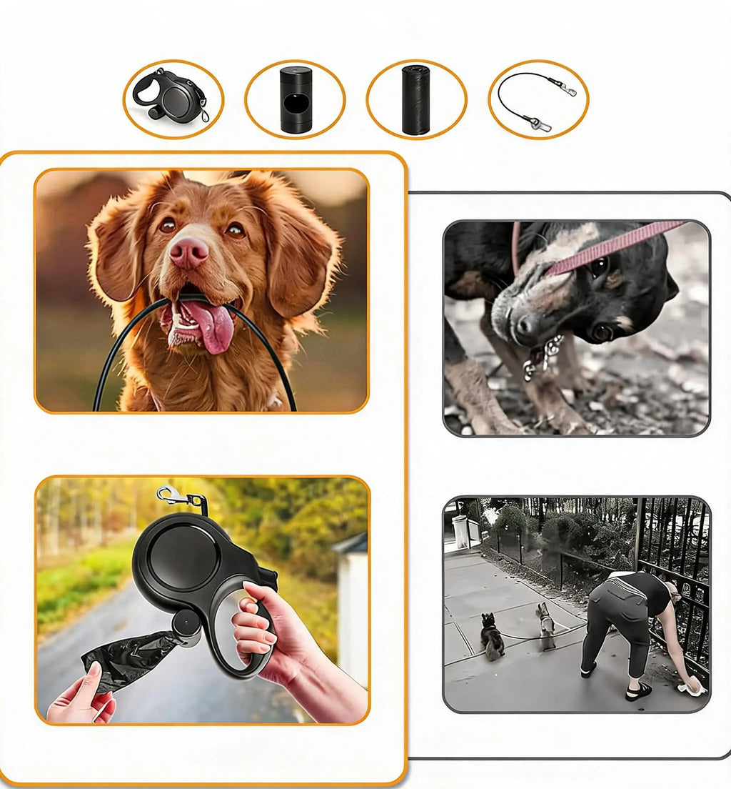 laisse telescopique pour gros chien