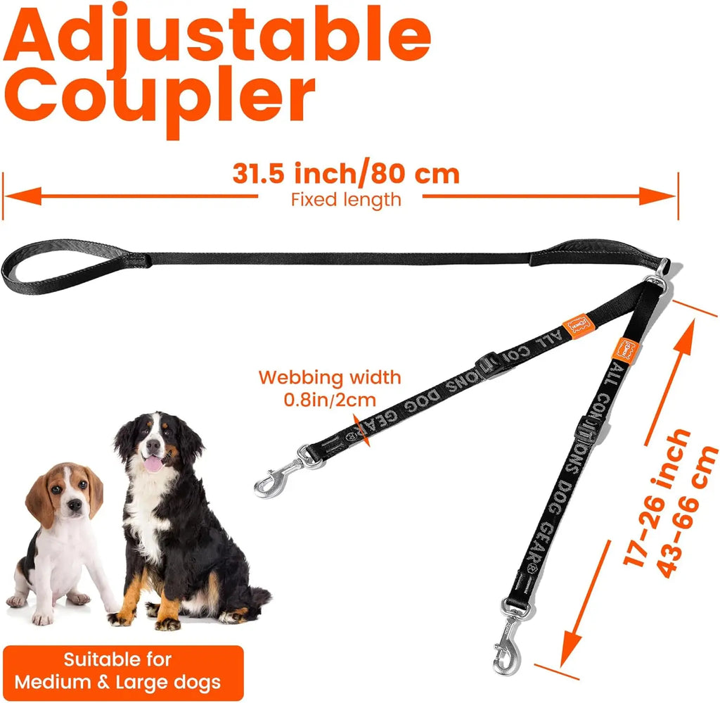 double laisse pour chien fine