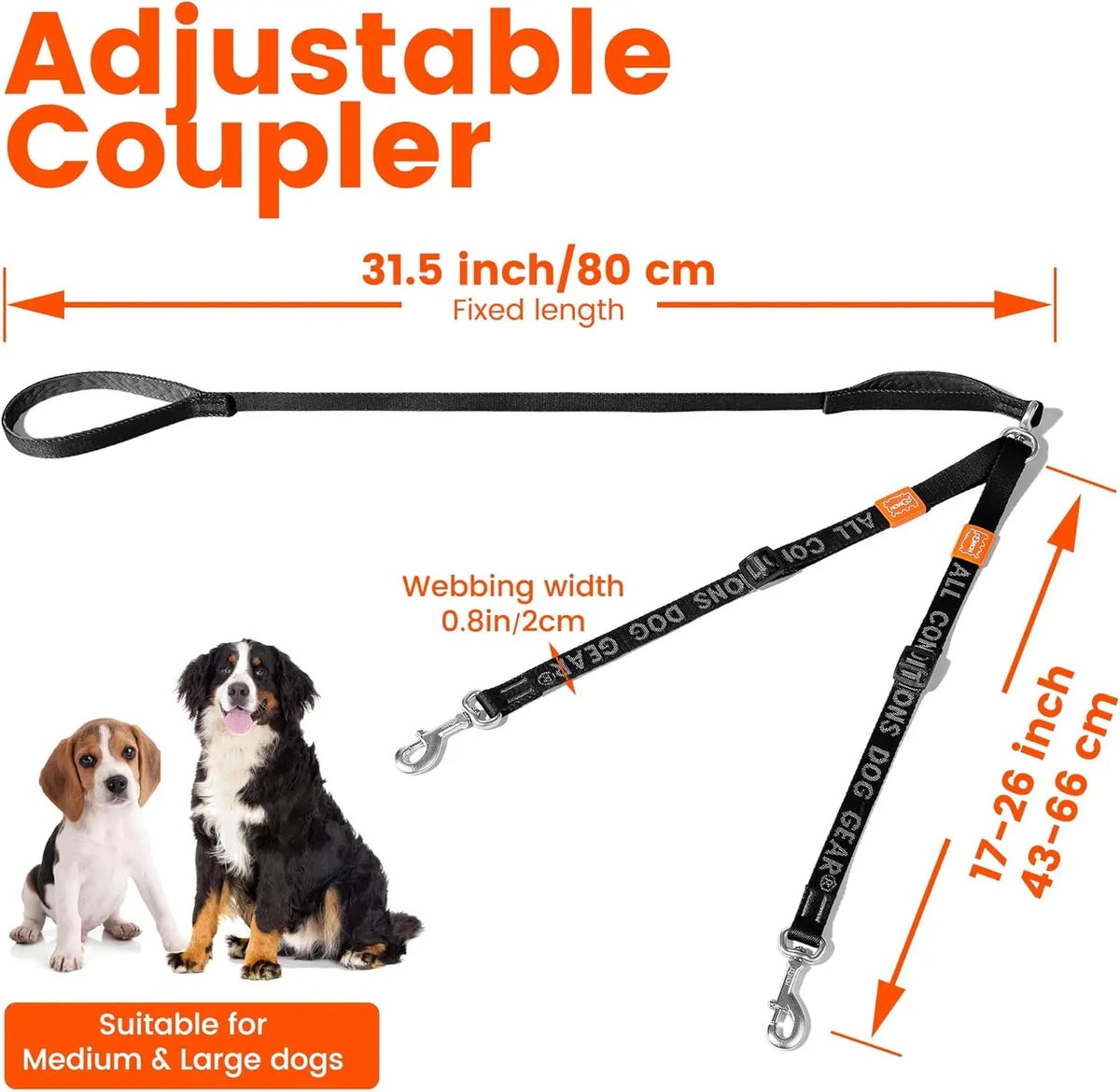double laisse pour chien fine