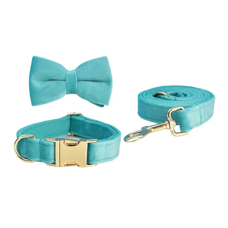 laisse d'exposition pour chien turquoise
