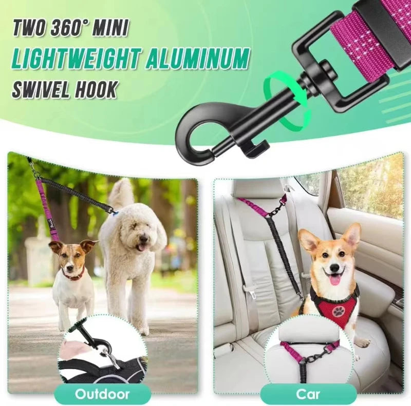 double laisse pour chien