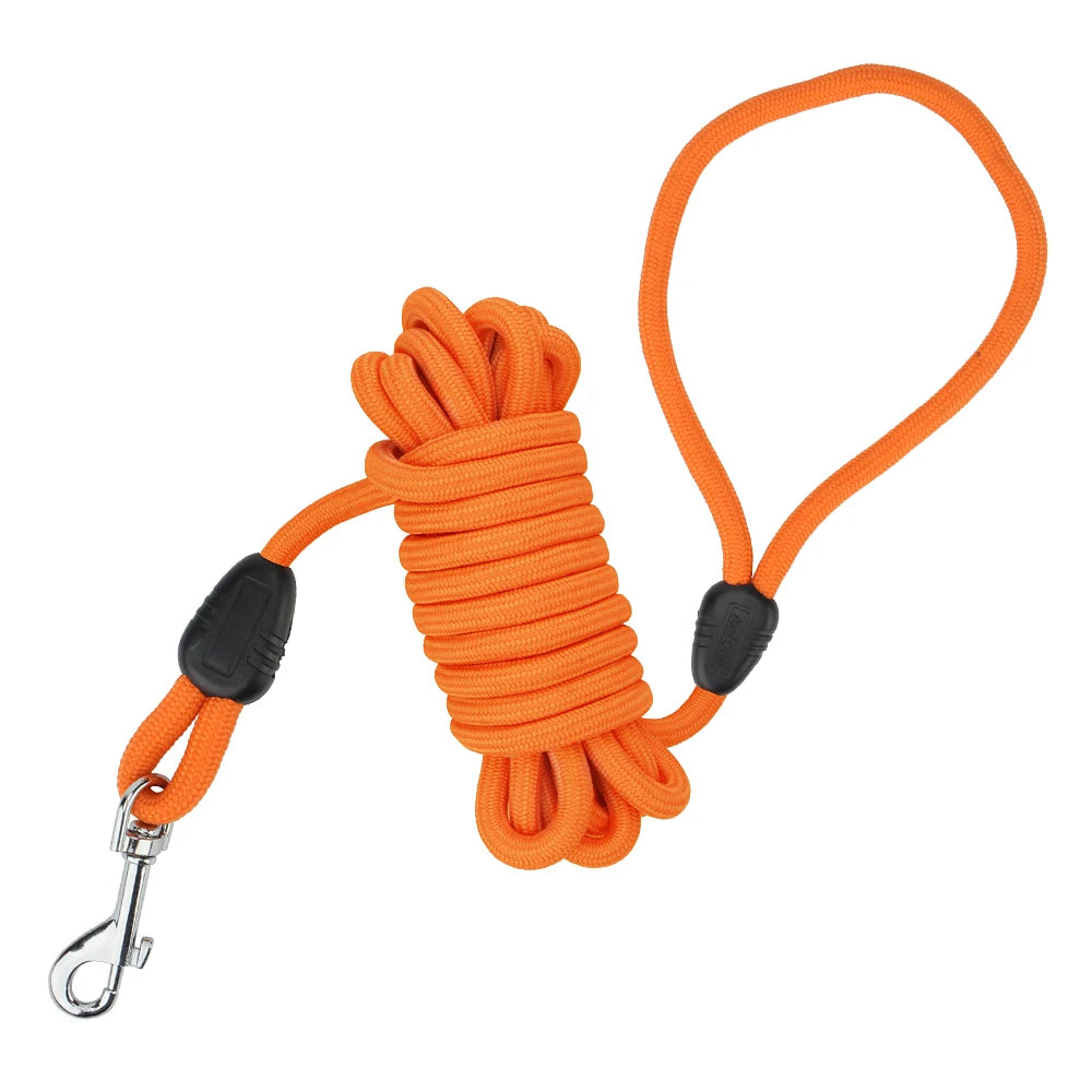laisse pour chien 10 m