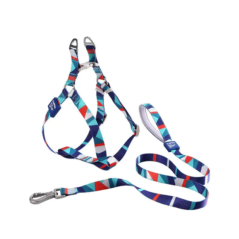 collier et laisse pour chien carricature