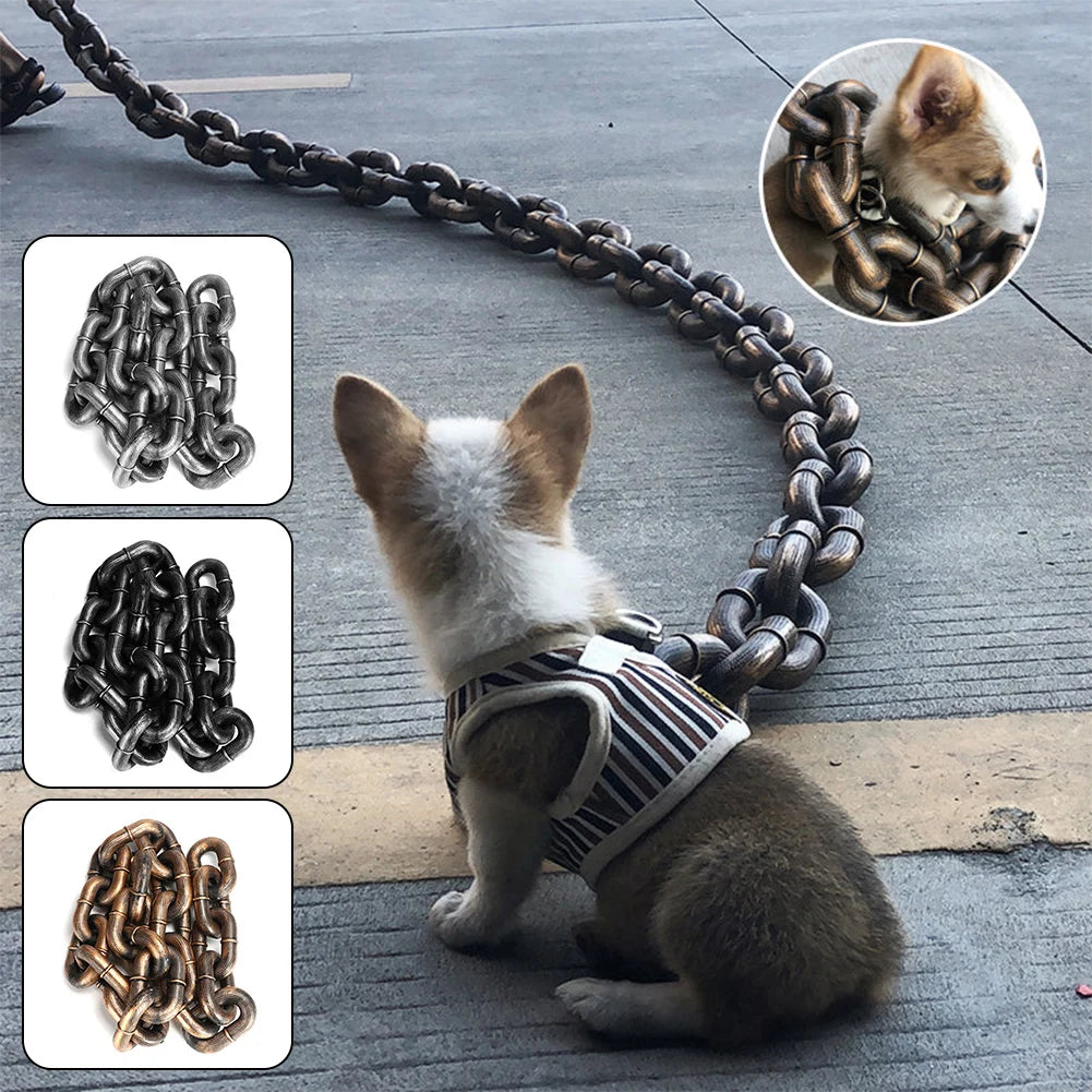 laisse fantaisie pour chien