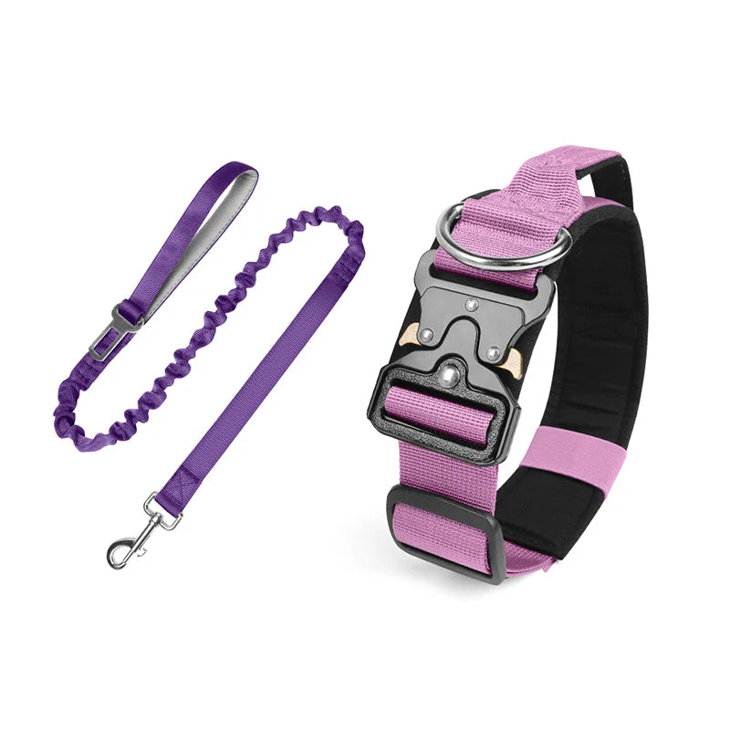 collier et laisse d'intervention pour chien berger allemand