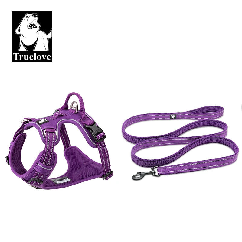 harnais laisse en nylon 2 cm largeur pour chien