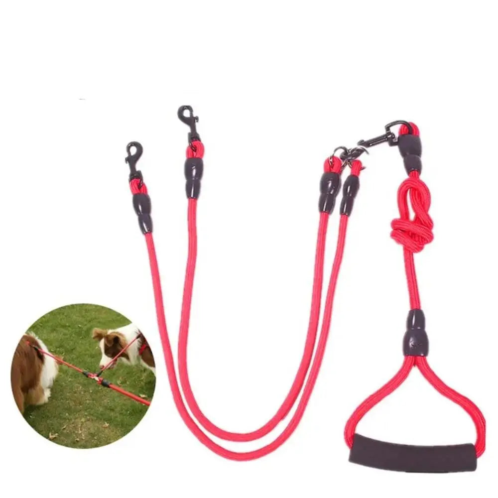 laisse pour 4 chien