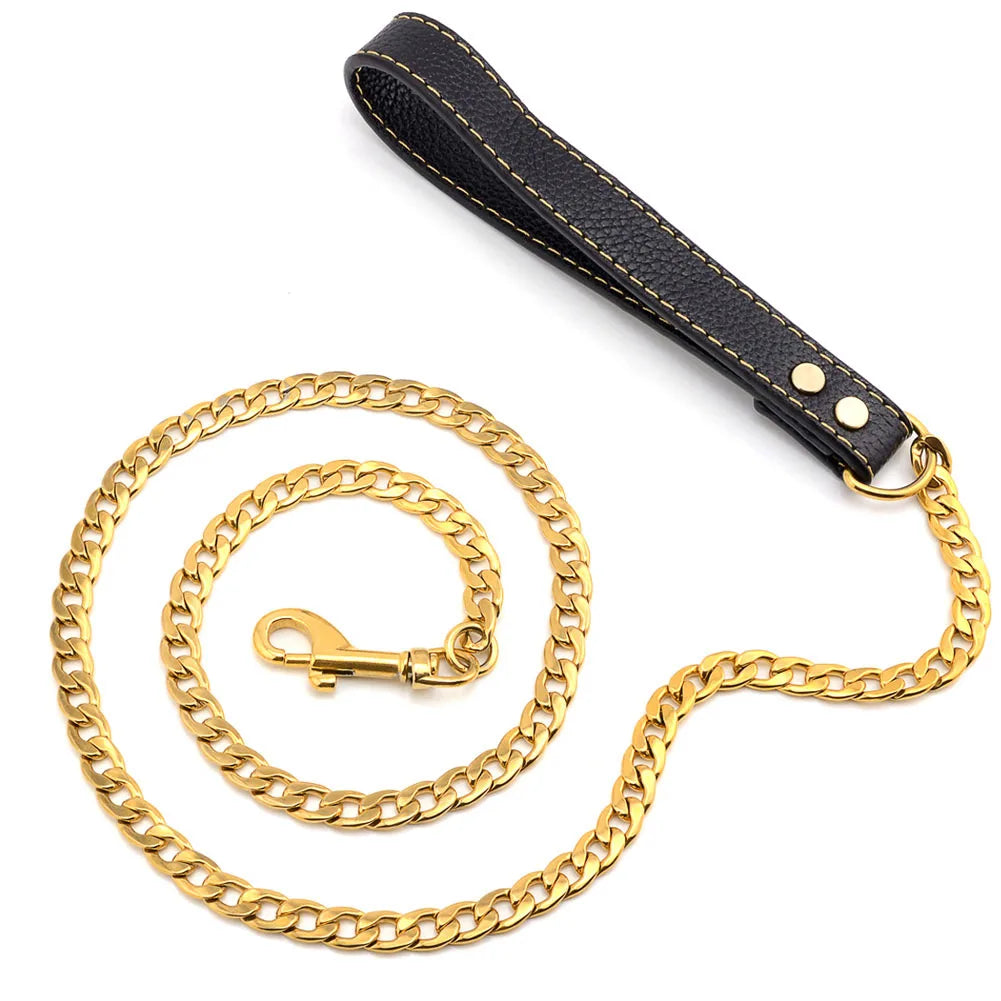 laisse en metal gros chien