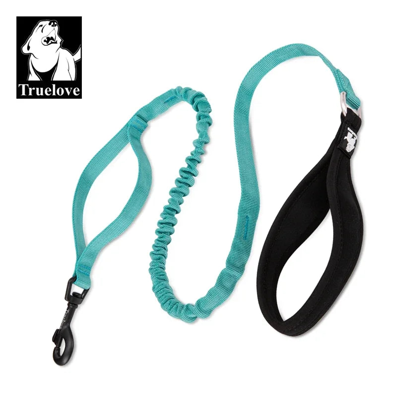 laisse pour chien elastique