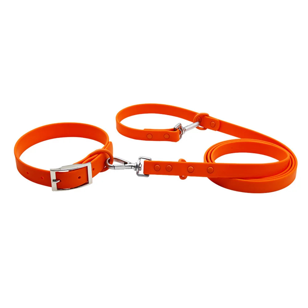 collier et laisse bleu brillante pour chien