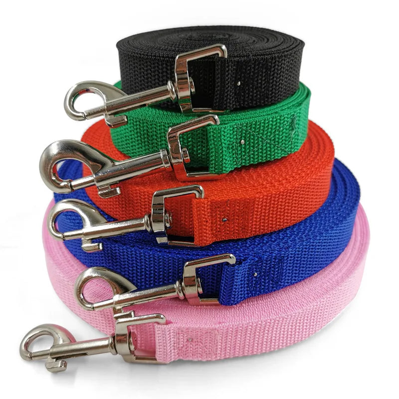 laisse pour petit chien