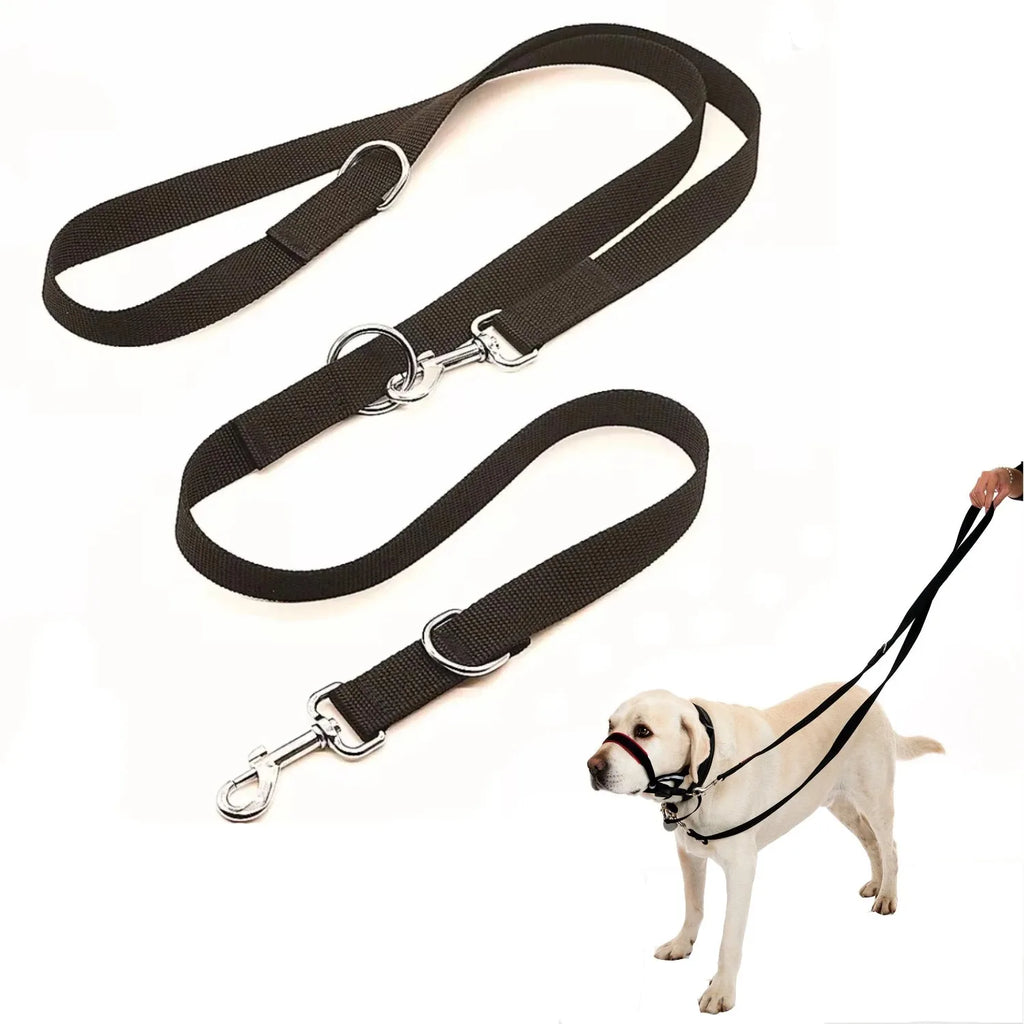 laisse 3 point nylon pour chien