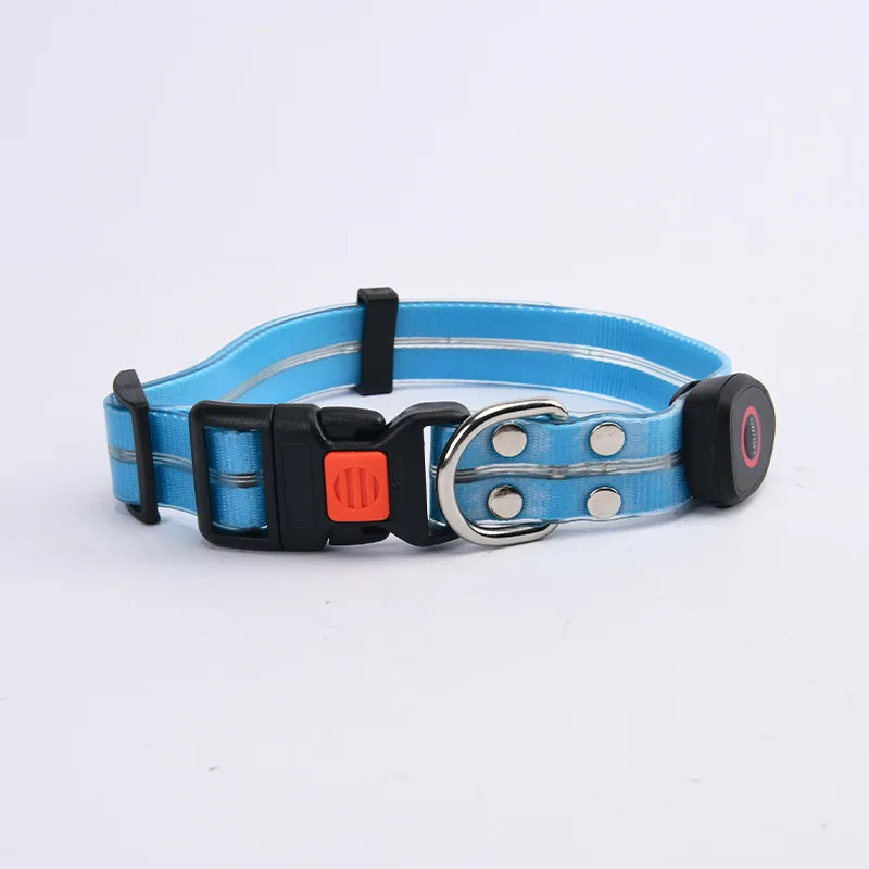 collier et laisse lumineuse pour chien