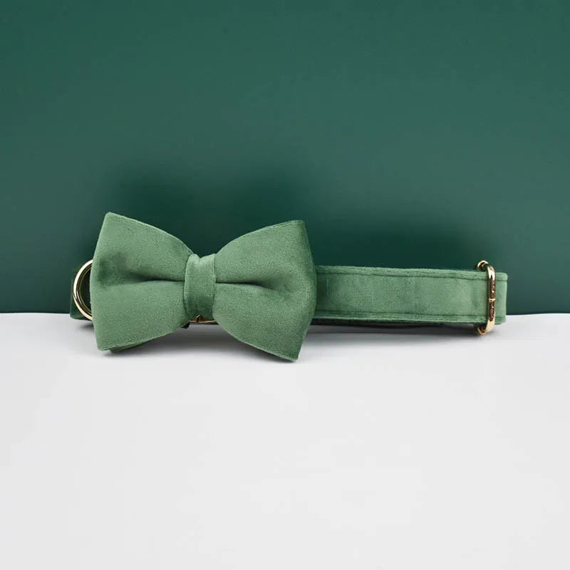 collier et laisse pour chihuahua