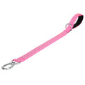laisse courte gros chien