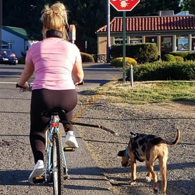 laisse chien velo