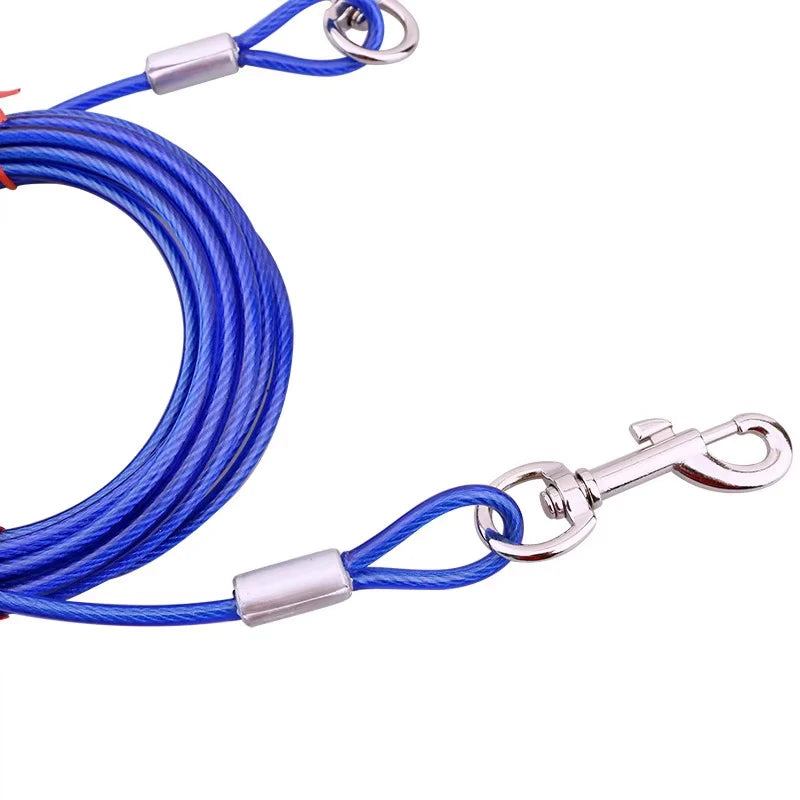 laisse cable pour chien