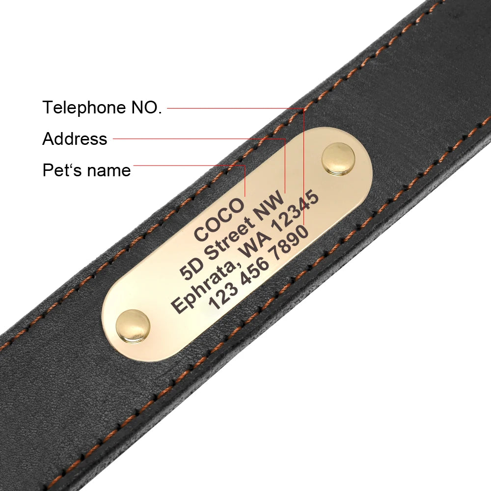 collier epais en cuire avec laisse pour gros chien