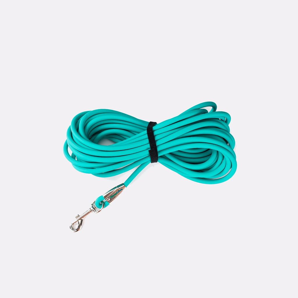 laisse pour chien 12 mètre